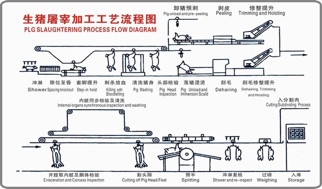 生豬屠宰加工工藝流程圖